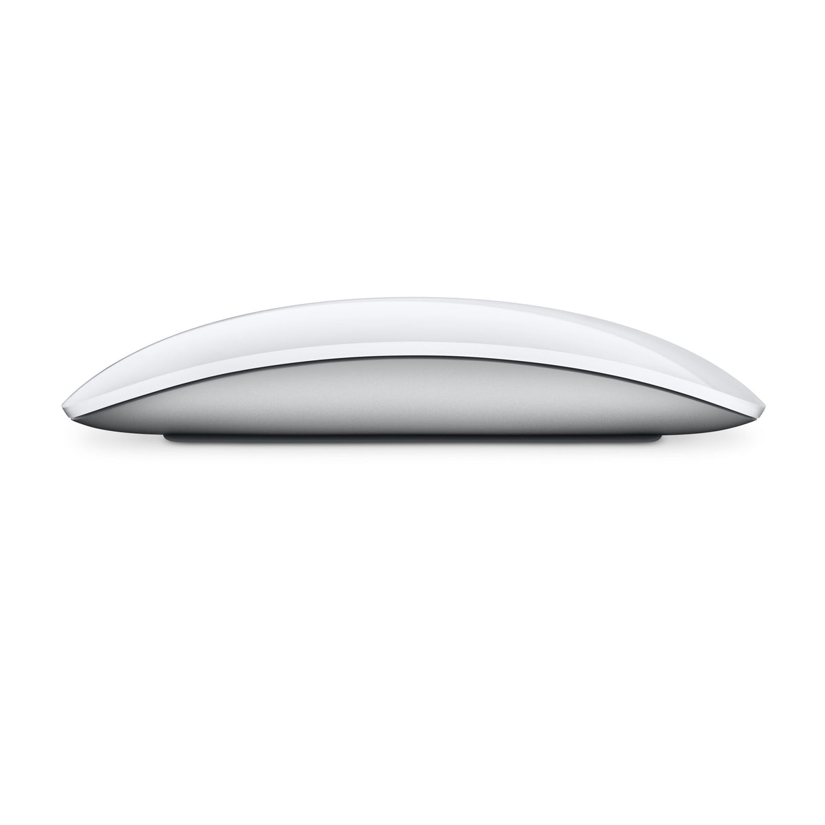 Mouse magico (USB-C)