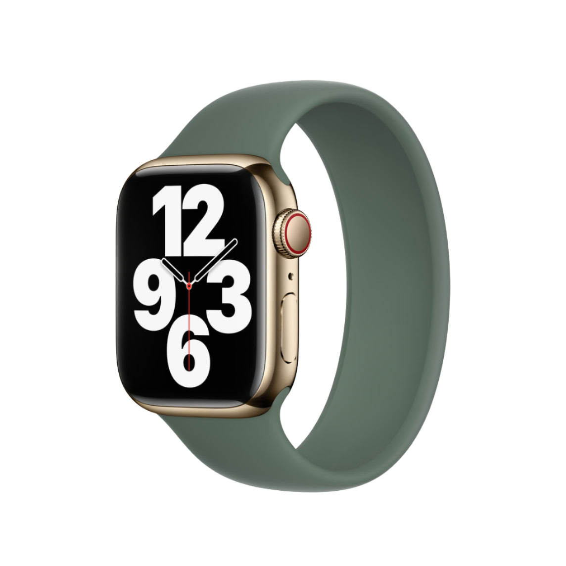 Pulsera Solo Loop - Eucalipto
