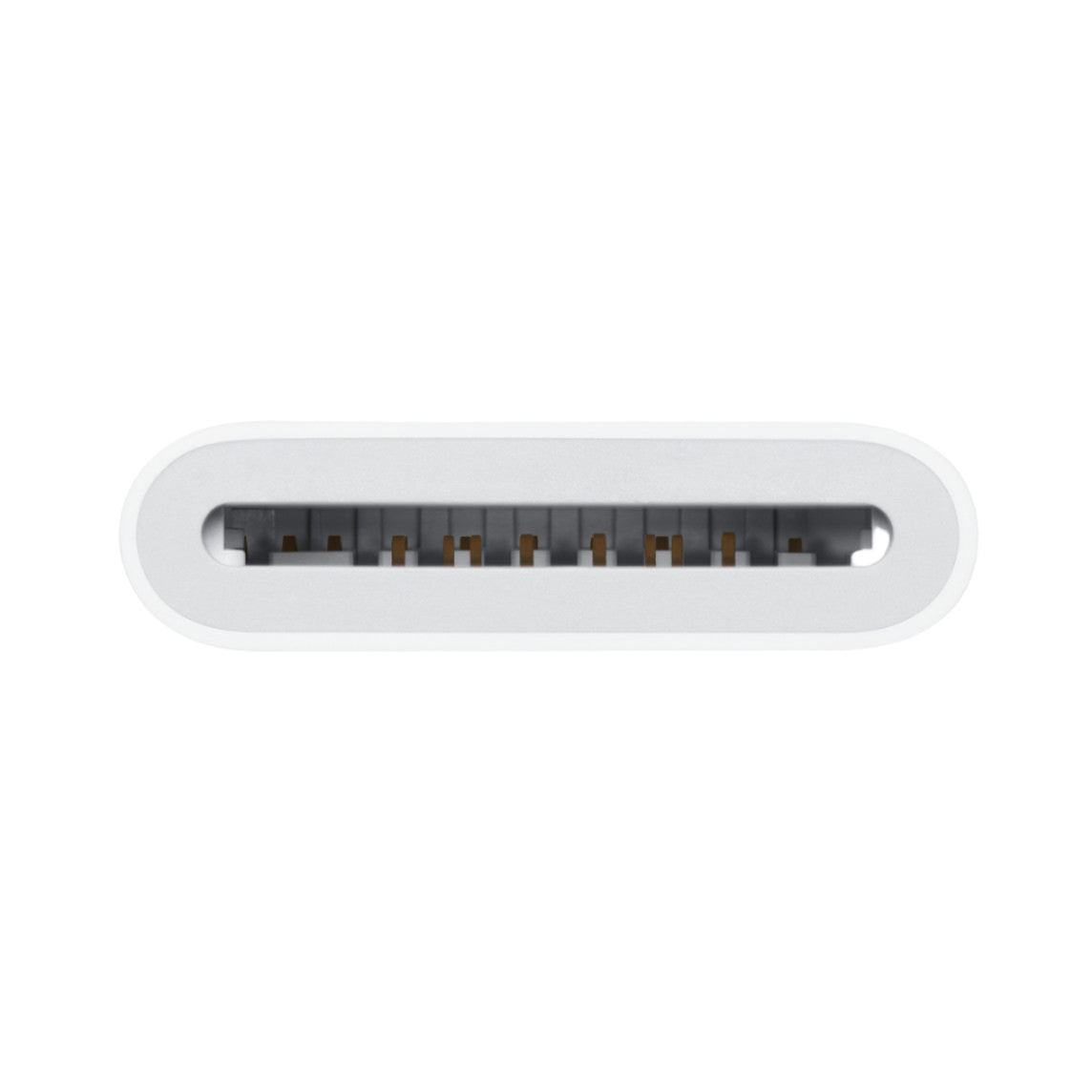 Lector de tarjetas SD USB-C