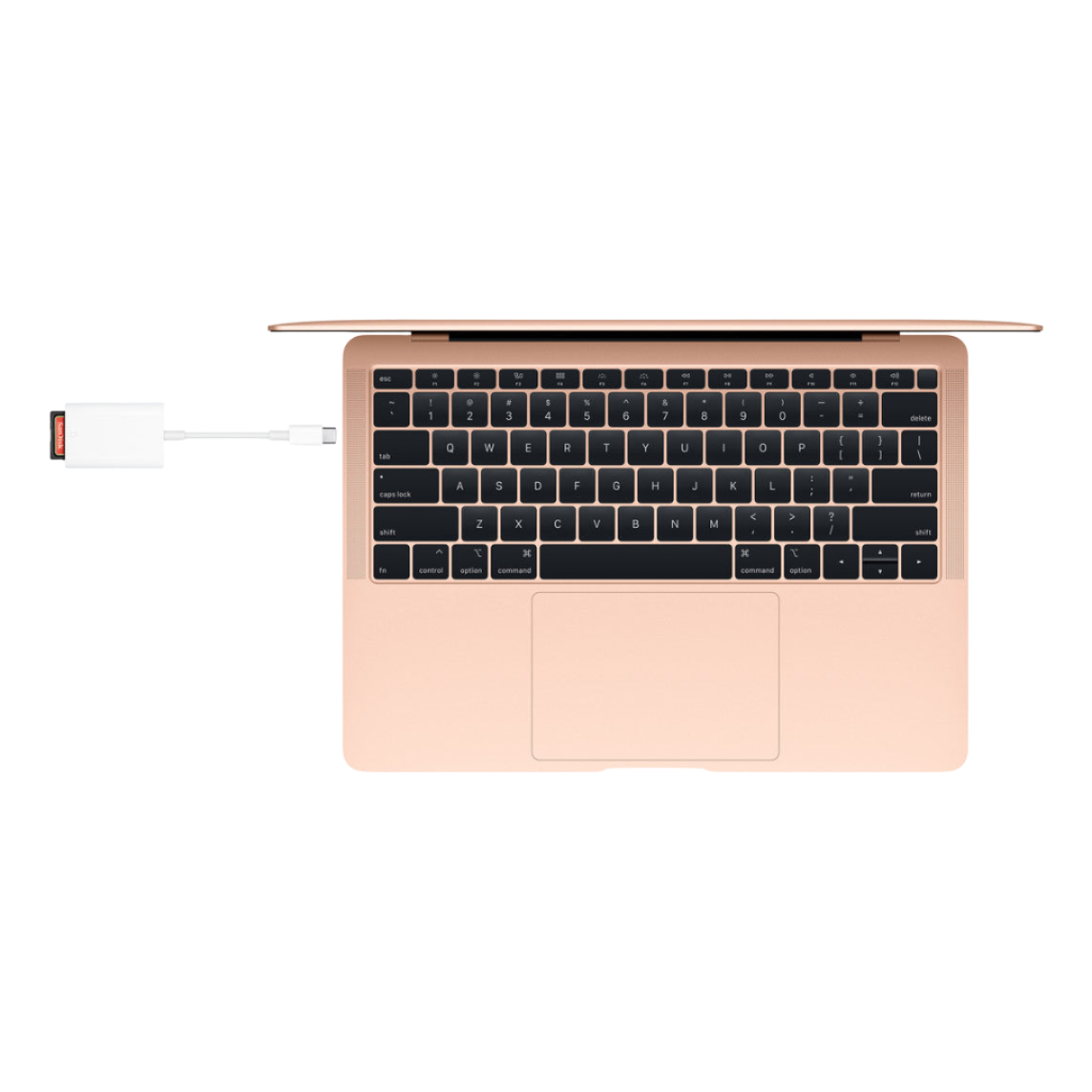 Lector de tarjetas SD USB-C