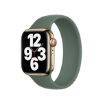 Pulsera Solo Loop - Eucalipto