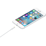 Cable Lightning a USB (1m, 2m)