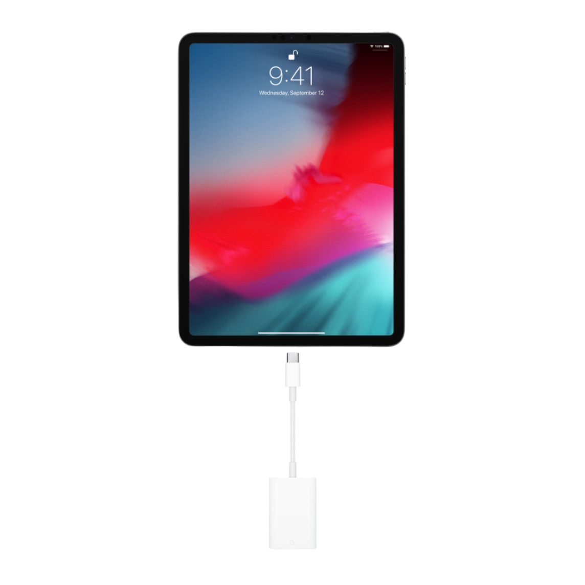 Lector de tarjetas SD USB-C