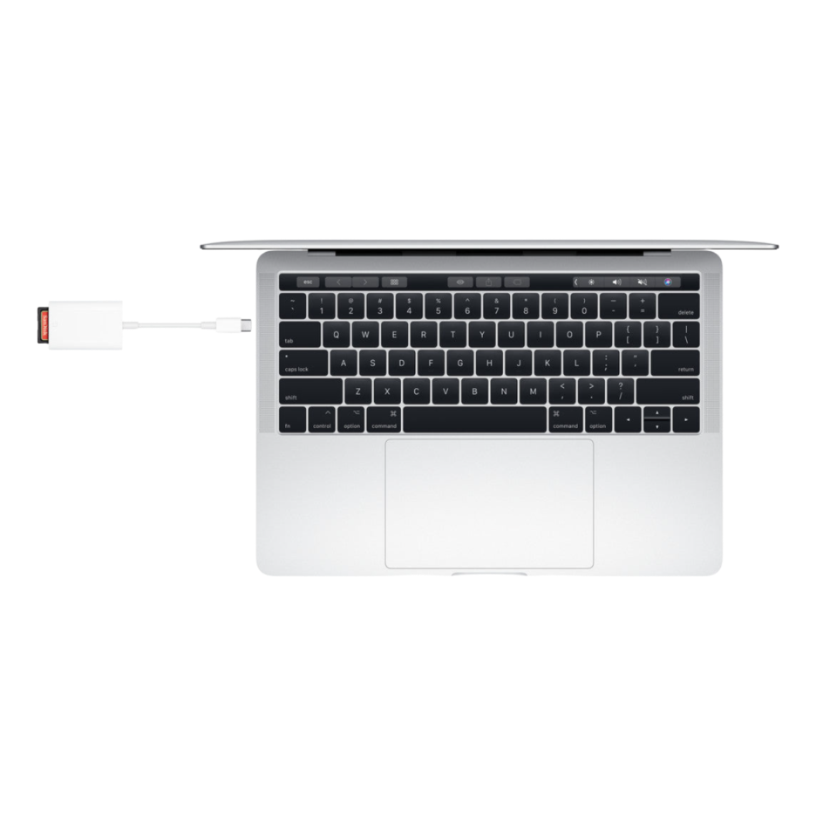 Lector de tarjetas SD USB-C